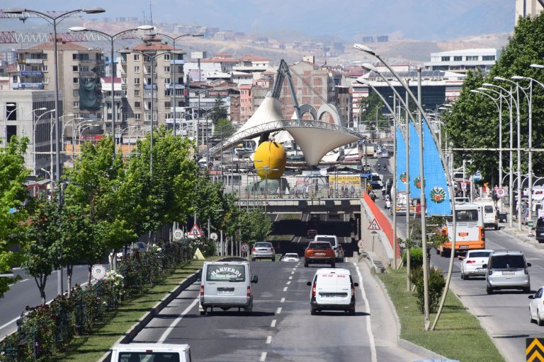 A bustling street scene in Malatya, Turkey featuring iconic apricot sculpture and cityscape. — 3 Myths About knee arthritis A