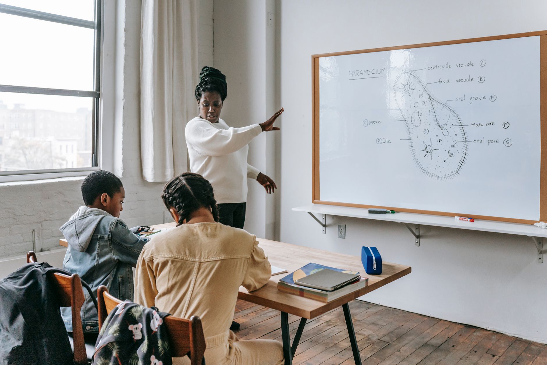 African American female teacher standing near whiteboard and giving lecture to ethnic teenagers during biology lesson — 7 tip
