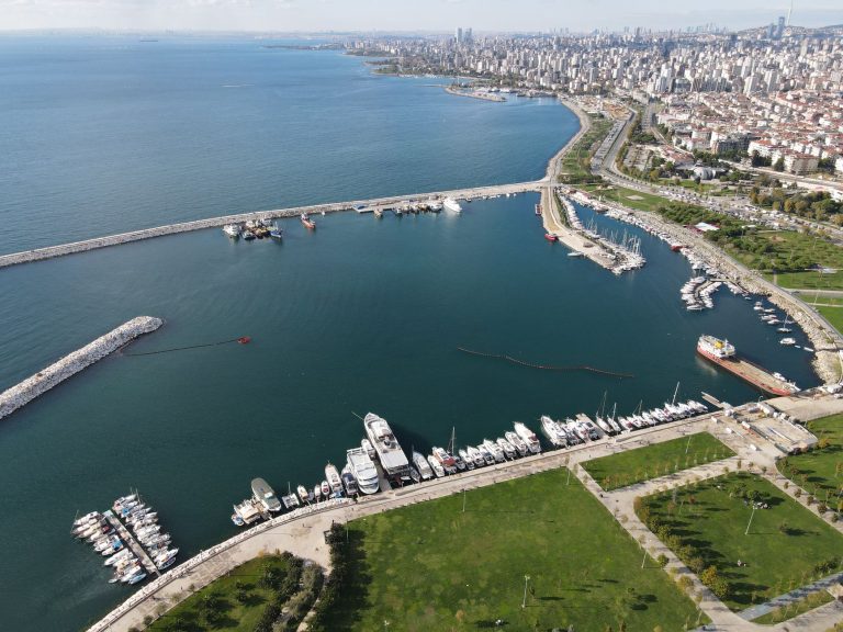 Aerial shot of a marina with yachts in Istanbul, Turkey, showcasing the skyline and sea. — Treat Your Pet With Better Care Wi
