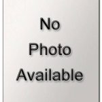 What are the various types of car speakers available in the market?